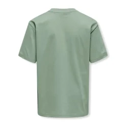 Best Drenge Fred Malto Liv T-shirt Iceberg Green T-Shirts Og Undertrøjer