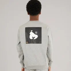 Best Drenge Relex Crew Sweatshirt Grå Hættetrøjer Og Sweatshirts