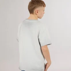Drenge Tilmo Liv T-shirt Ultimate Grey T-Shirts Og Undertrøjer
