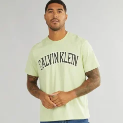 Outlet Herre Curve Varsity Log T-Shirt Aloe Wash T-Shirts, Poloer Og Skjorter·T-Shirts Og Undertrøjer