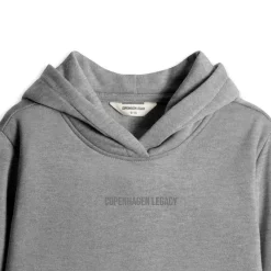 Hot Hættetrøje Grå Melange til Børn Hættetrøjer Og Sweatshirts|Hættetrøjer Og Sweatshirts